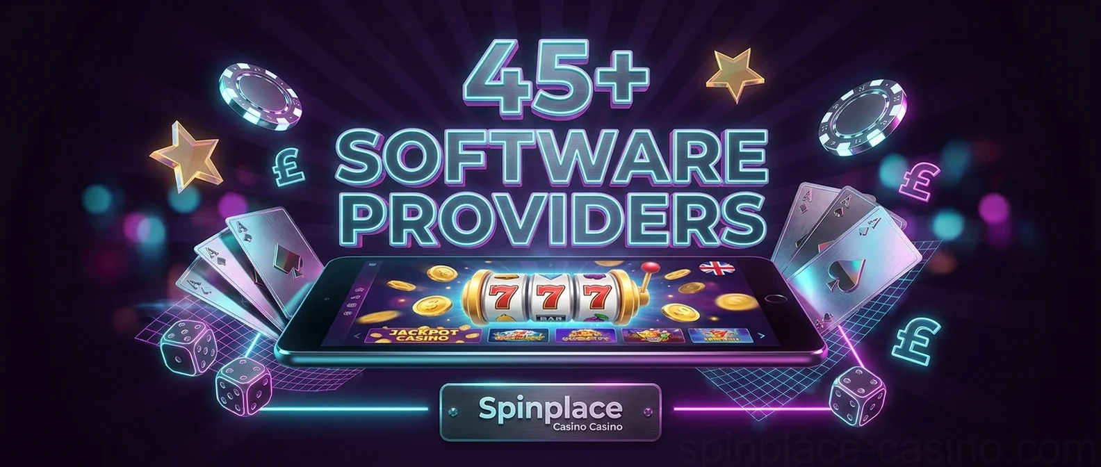 45+ Software Providers